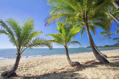 Palm Cove Australia