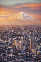 Mt. Fuji