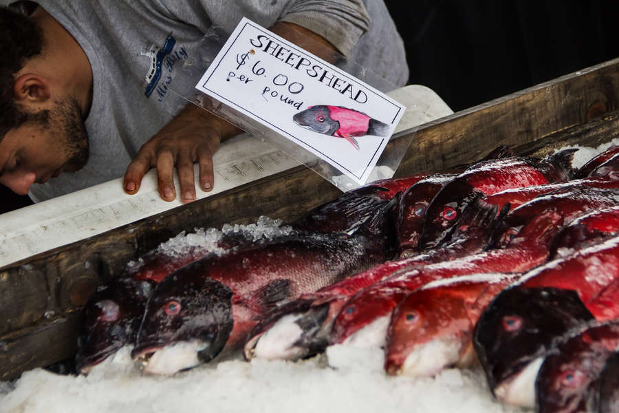 Touring San Diego's Best Local Fish Store Tuna Harbor Dockside Market