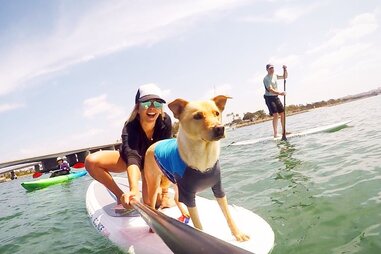 SUP Pups San Diego - Stand Up Paddle Boarding