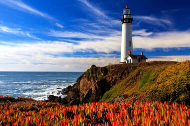 pigeon point, california