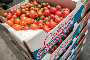 tomatoes santa monica farmers market