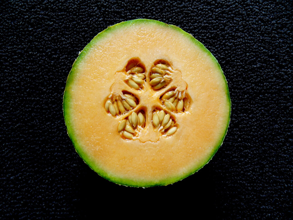 cantaloupe