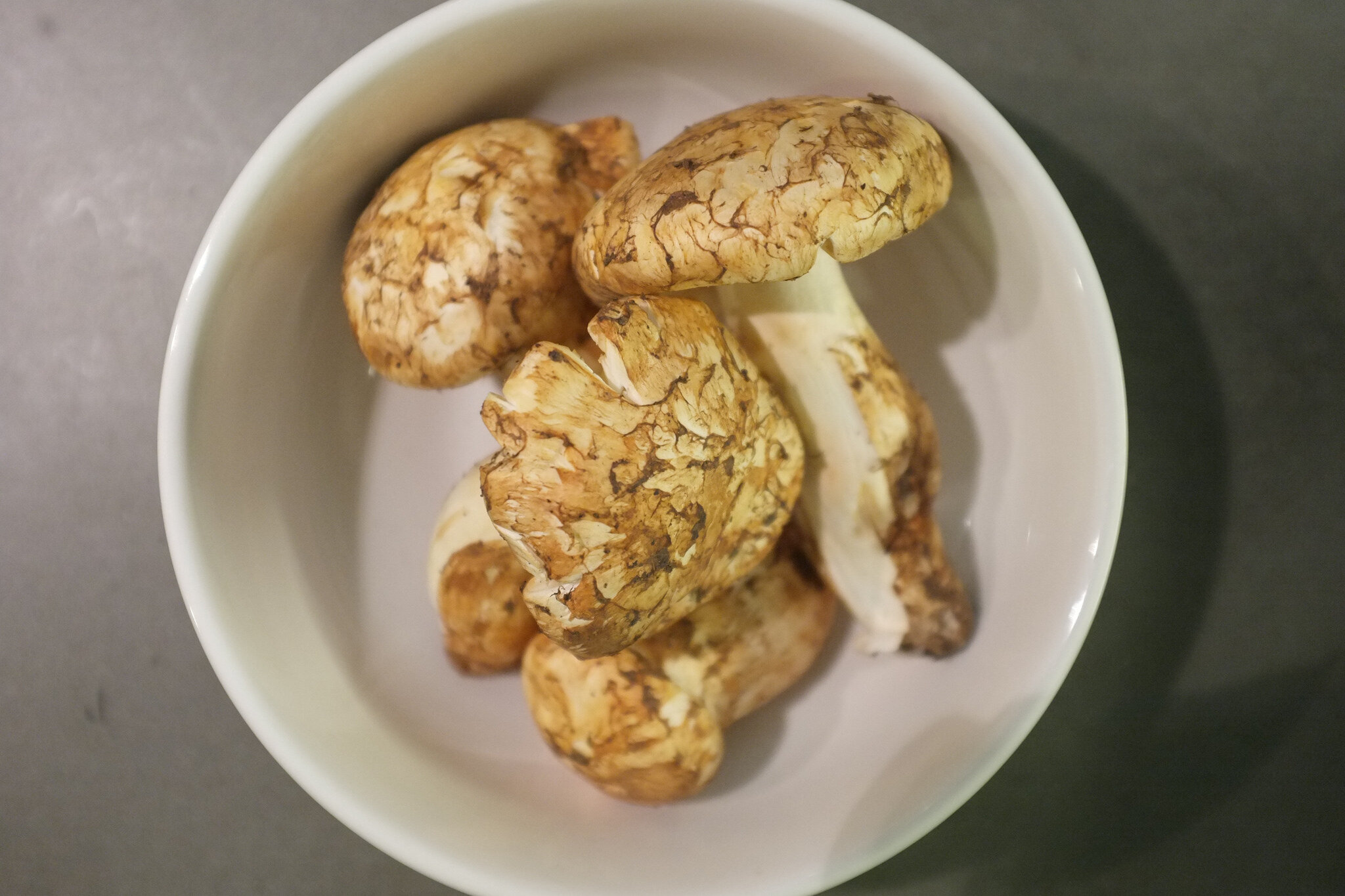 matsutake mushrooms