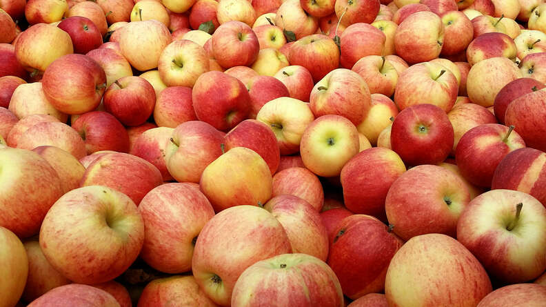 apples