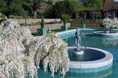 Planting Fields Arboretum