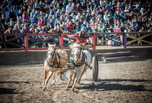 Everything You Must Absolutely Do in Houston This Fall