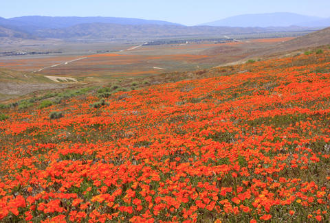 Most Beautiful Places in California: Road Trip Ideas - Thrillist