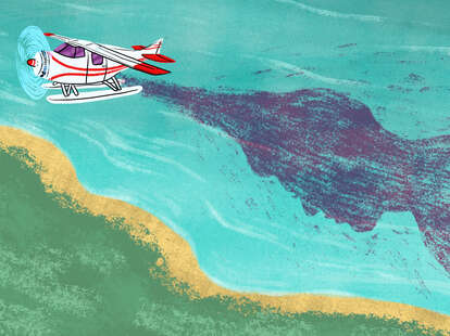 airplane cremains pilot