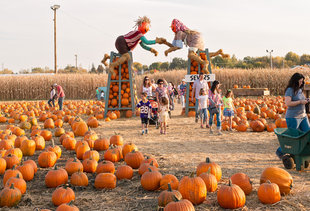 Everything You Must Do in the Twin Cities This Fall