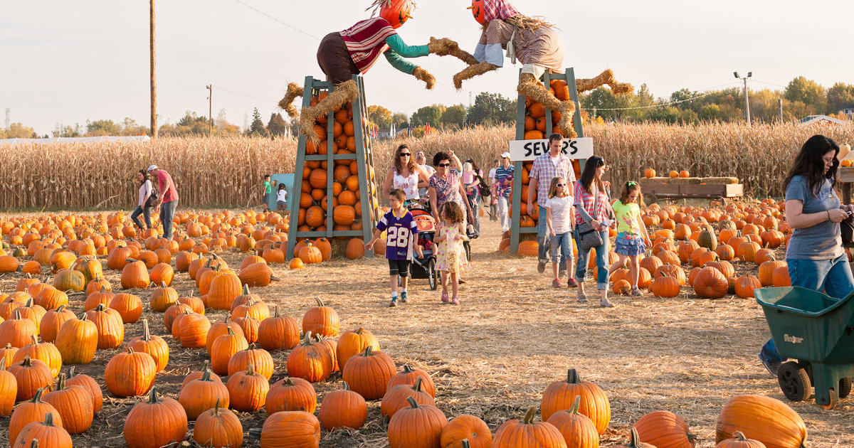 Things to Do in the Fall in Minneapolis 2017 Thrillist