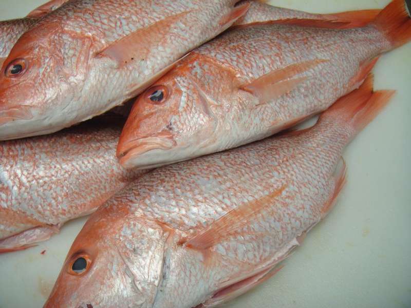 Fountainview Fish Market A Restaurant in Houston, TX Thrillist