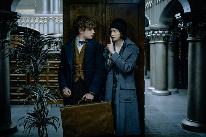 fantastic beasts fall movies 2016