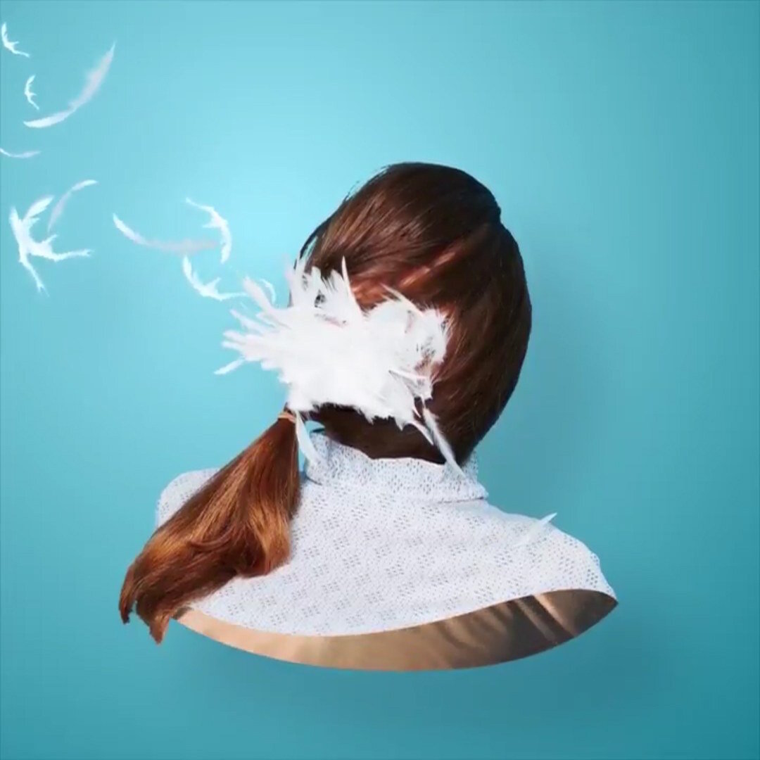 Kings of Leon Album Walls