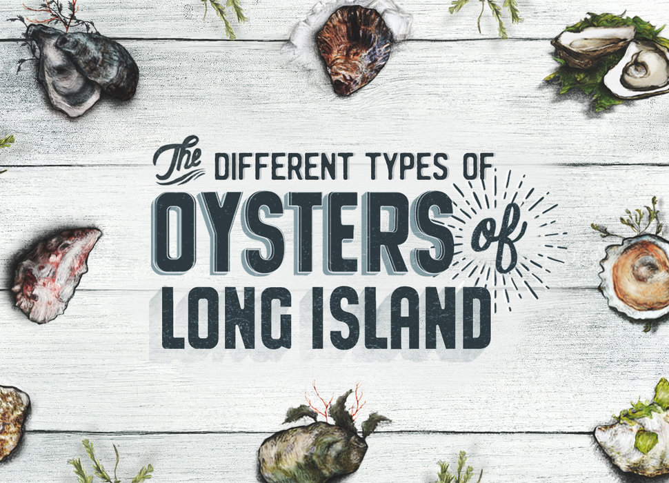 The Official Infographic of Long Island's Many Oysters Thrillist