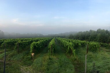 Grinder’s Switch Winery