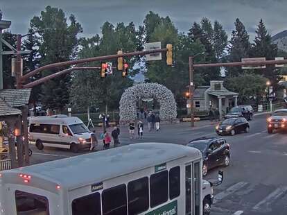 Jackston Hole livestream