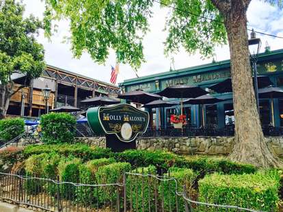 Great bar food and beer selection at Molly Malone's Irish Pub in Louisville KY