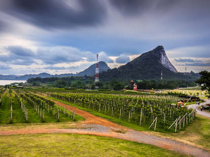 Thailand vineyard winery