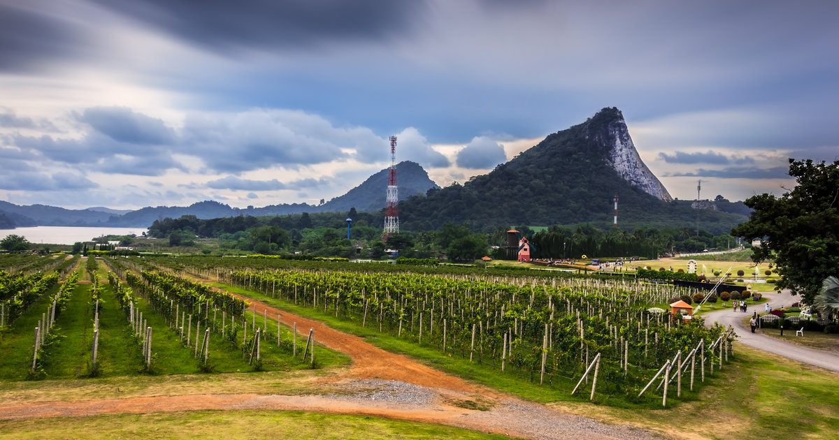 Best Wine Country Destinations You Haven't Heard Of Austria, Canada