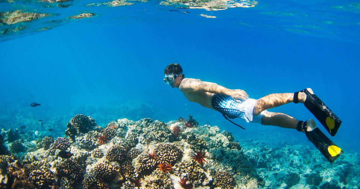 snorkeling in waikiki honolulu