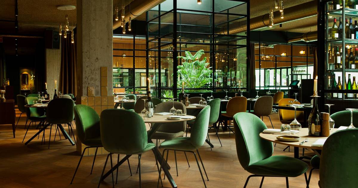 Plons gebrek begin Best Restaurants in Amsterdam for Romantic Lunch Dates - Thrillist