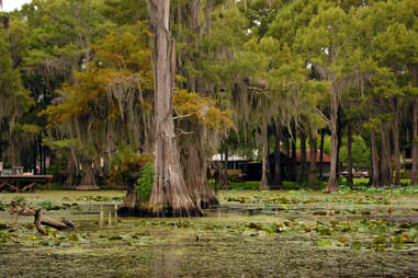 caddo lake