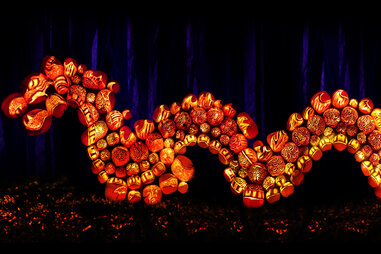 Rise of the Jack o’Lanterns