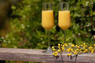 Two drinks on a fence