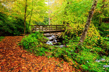 Appalachian Trail Brew Hiking