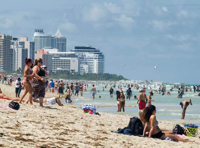 Spring Break Miami Beach Vintage T Shirt Graphics Stock