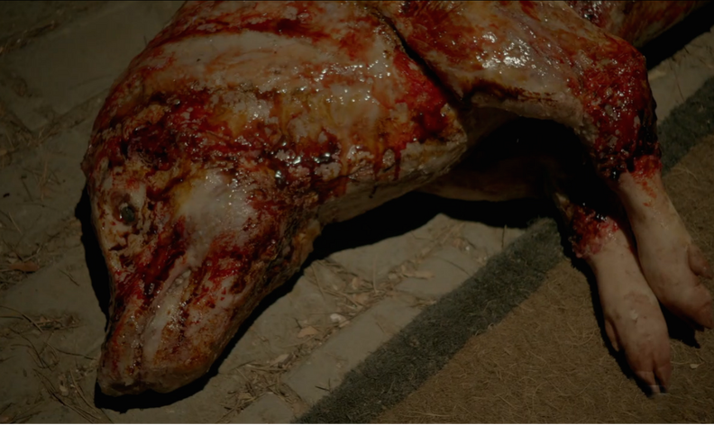 american horror story my roanoke nightmare pig