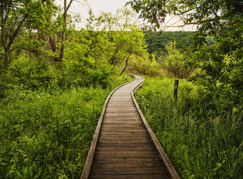 14 of the Best Catskills Hiking Trails for Every Level of Hiker