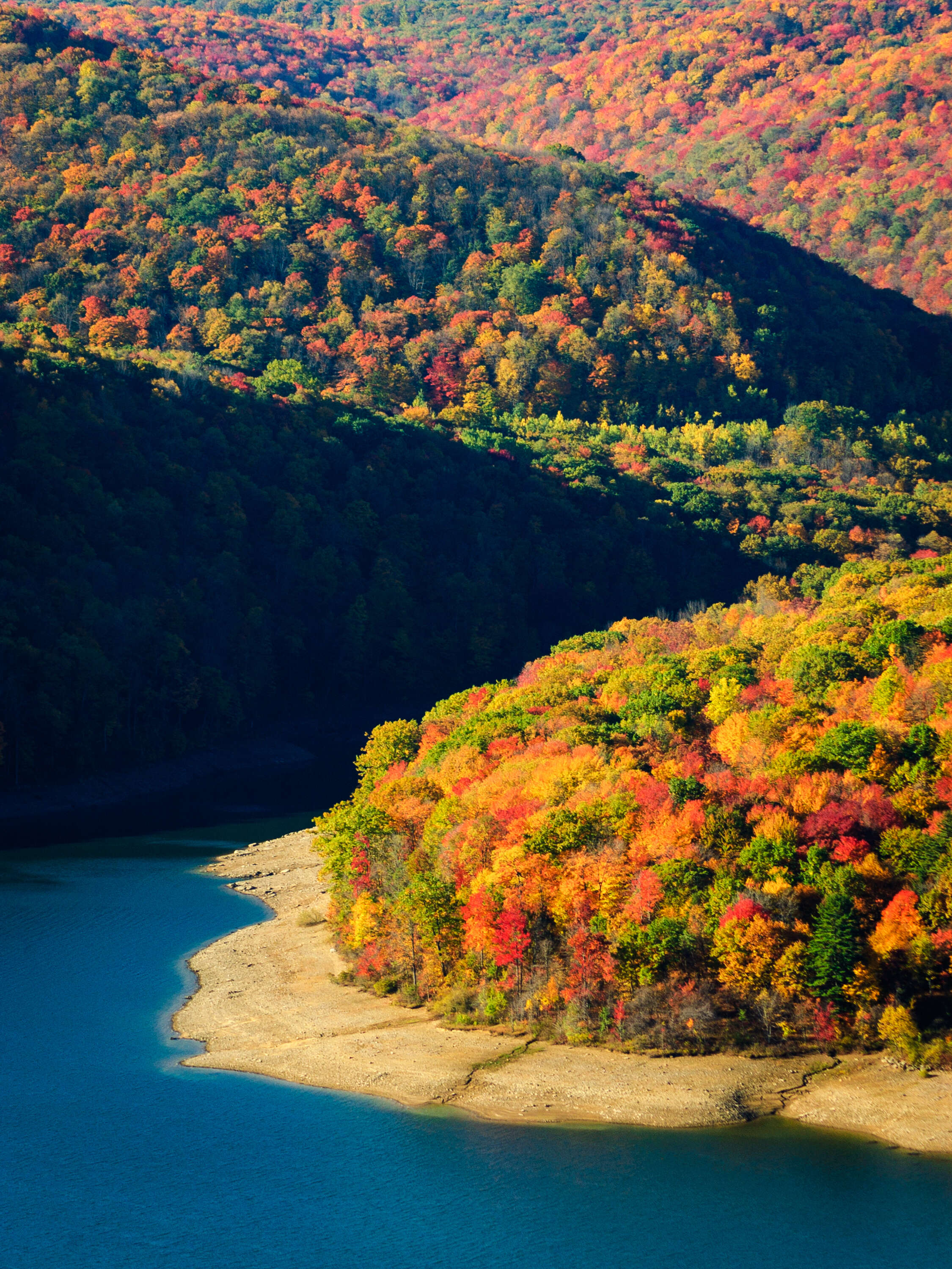 Allegheny National Forest