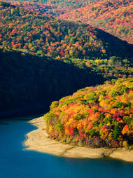 Allegheny National Forest
