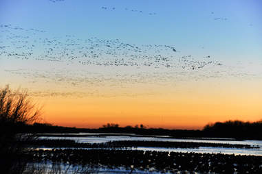 platte river