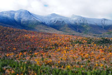 white mountains in new hampshire surrounded by wildflowers