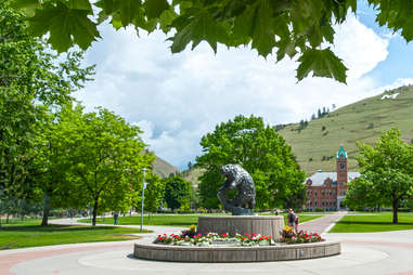 University of Montana