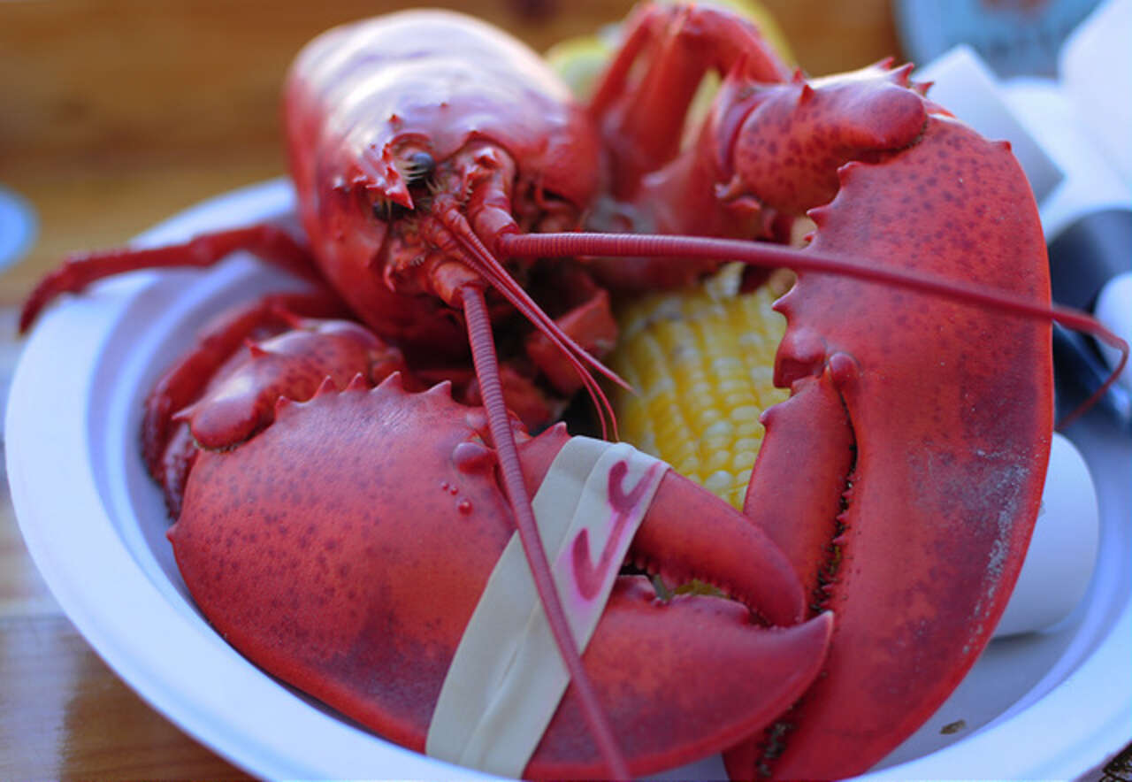 Boston Lobsters, Seafood, and More Secrets of the Boston Food Scene ...