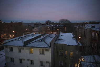 Prospect-Lefferts Gardens