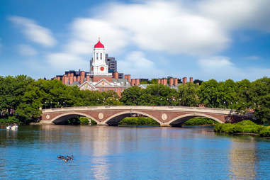 Harvard University