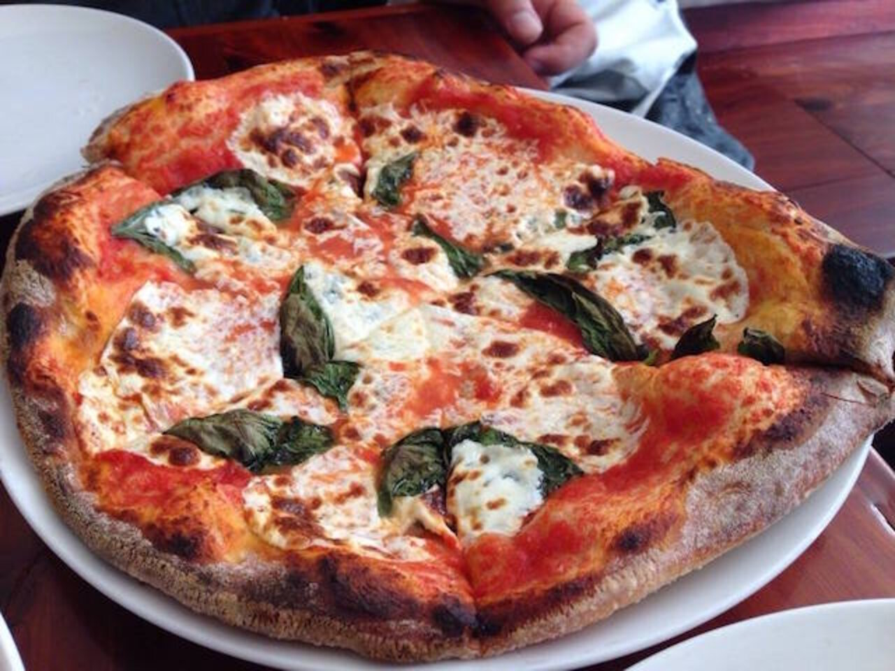 Best Italian Restaurants in San Francisco, CA Thrillist
