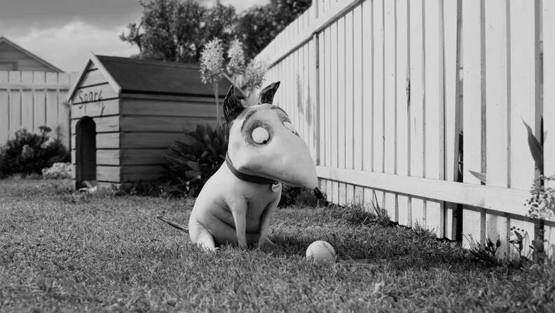 Frankenweenie Tim Burton