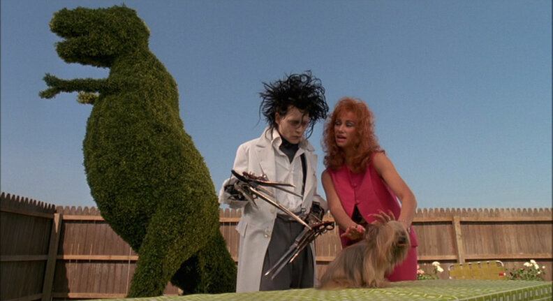 Edward Scissorhands Tim Burton