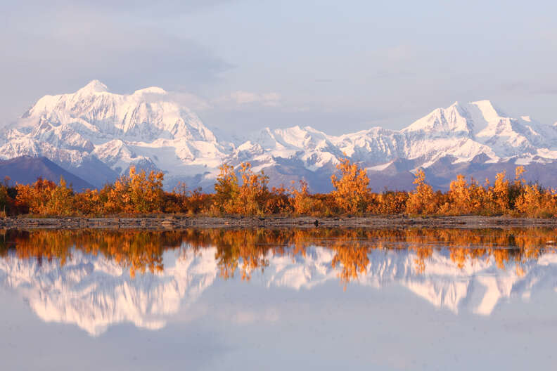 Denali fall colors