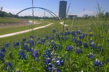 Brays Bayou Greenway