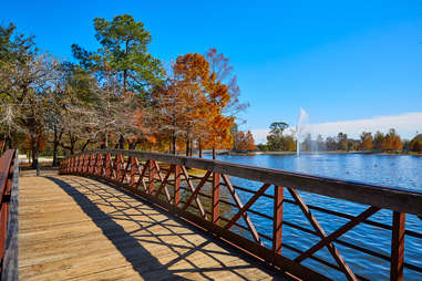 hermann park