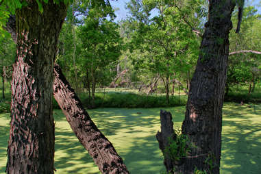 george bush park