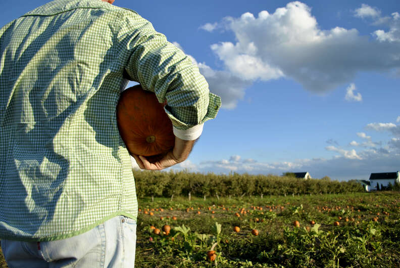 erwin orchards