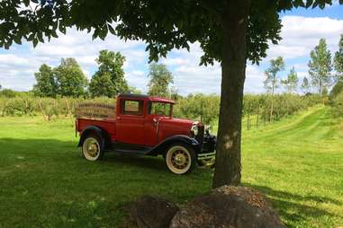 Plymouth Apple Orchards and Cider Mill